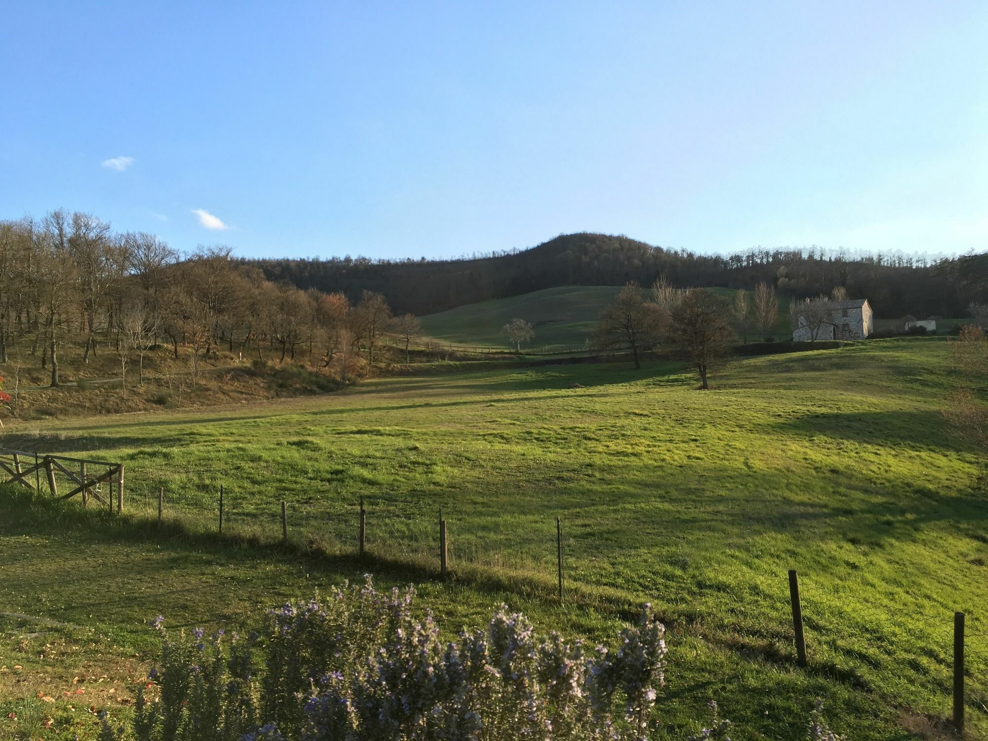 הוילה סרטאנו Borgo Poggio Bianco מראה חיצוני תמונה