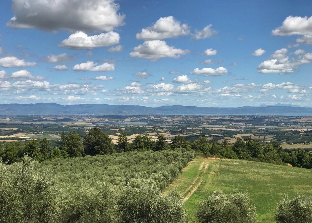 הוילה סרטאנו Borgo Poggio Bianco מראה חיצוני תמונה